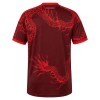 Maillot de Foot Internacional Third 2026-27